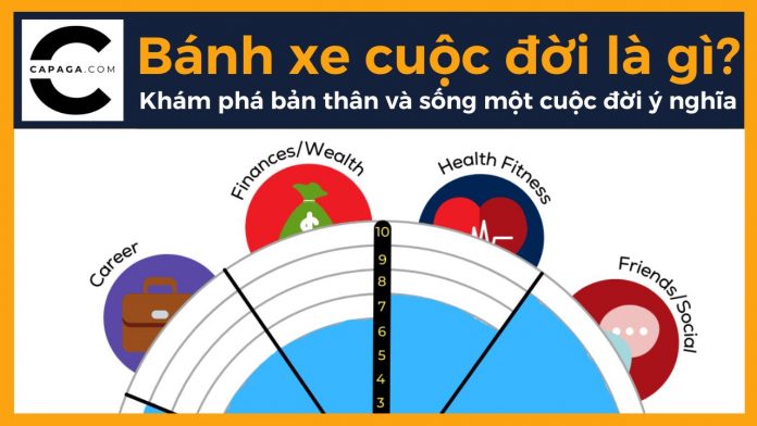 Bánh xe cuộc đời là gì? Khám phá bản thân và sống một cuộc đời ý nghĩa