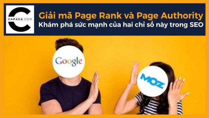 Giải mã Page Rank và Page Authority: Khám phá sức mạnh của hai chỉ số này trong SEO